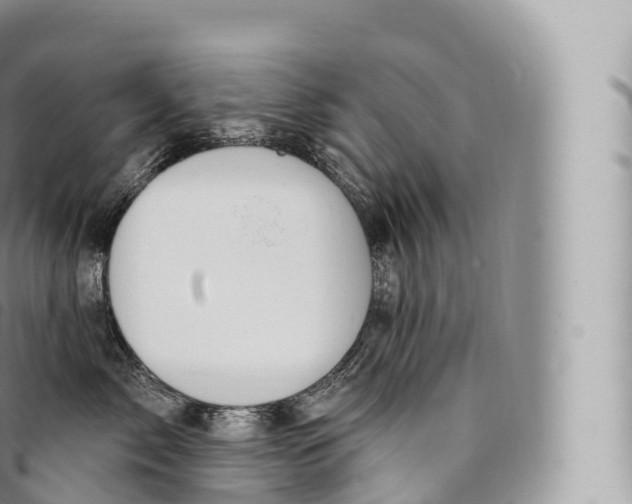 X0000096490717200802141745