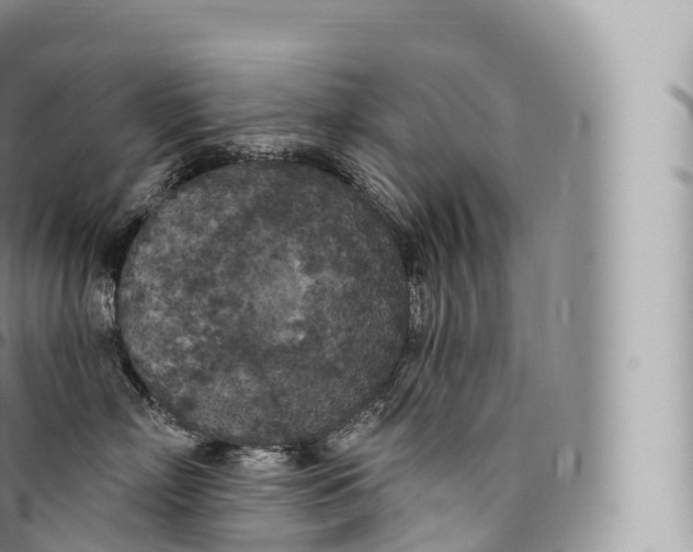 X0000096490718200802141745