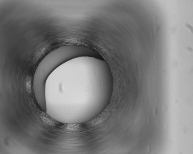 X0000096490720200802141745