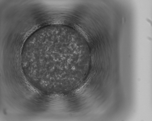 X0000096490721200802141744