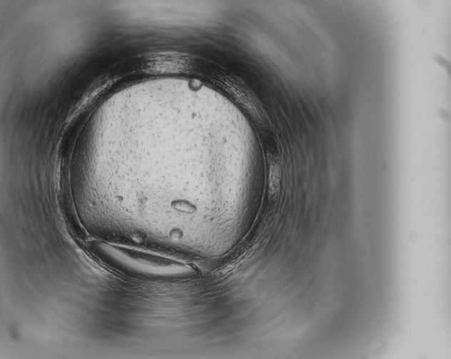 X0000096490722200802141744