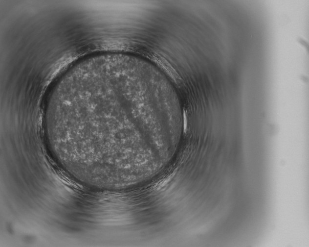 X0000096490723200802141744