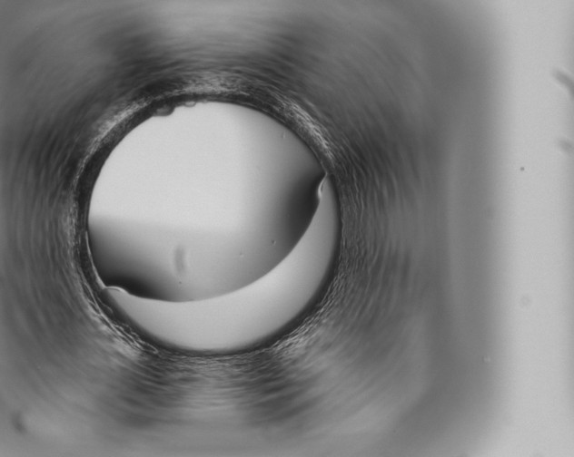 X0000096490724200802141744