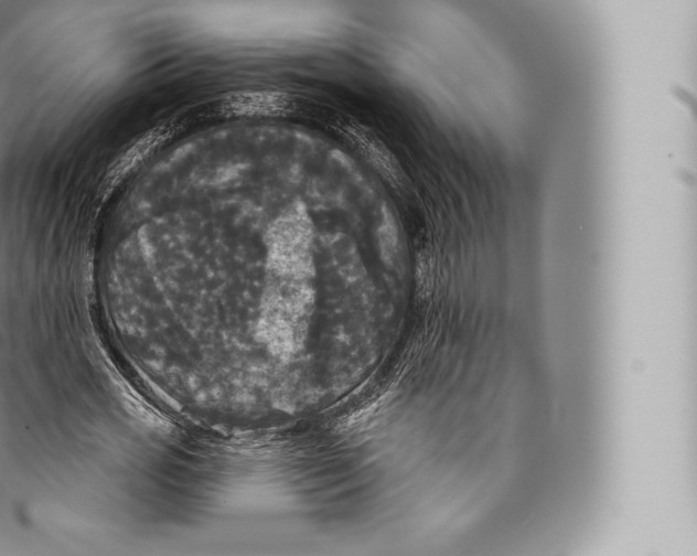 X0000096490725200802141744