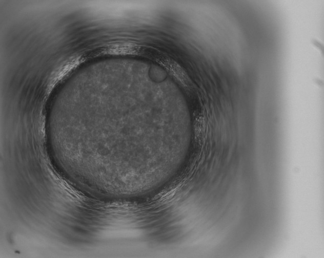 X0000096490727200802141745