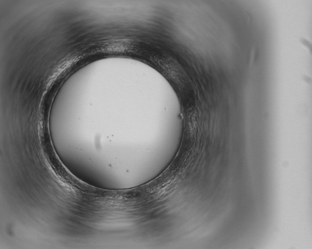 X0000096490728200802141745