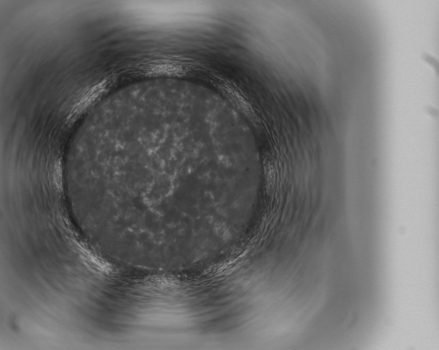 X0000096490729200802141745