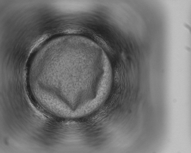 X0000096490730200802141745