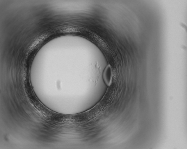 X0000096490732200802141745