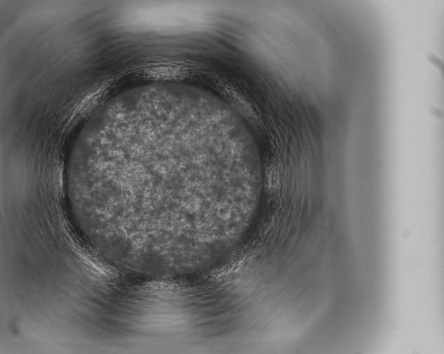 X0000096490733200802141745