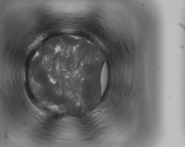 X0000096490734200802141745