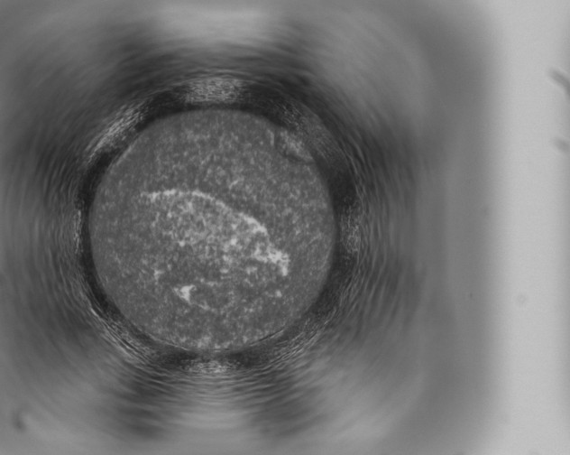 X0000096490735200802141745