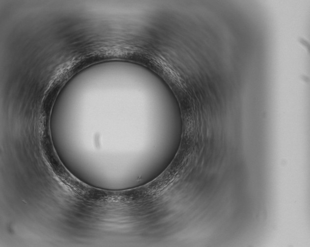 X0000096490736200802141745