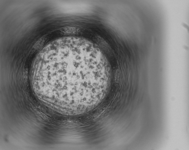 X0000096490737200802141745