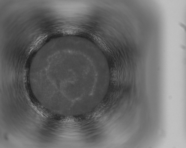 X0000096490738200802141745