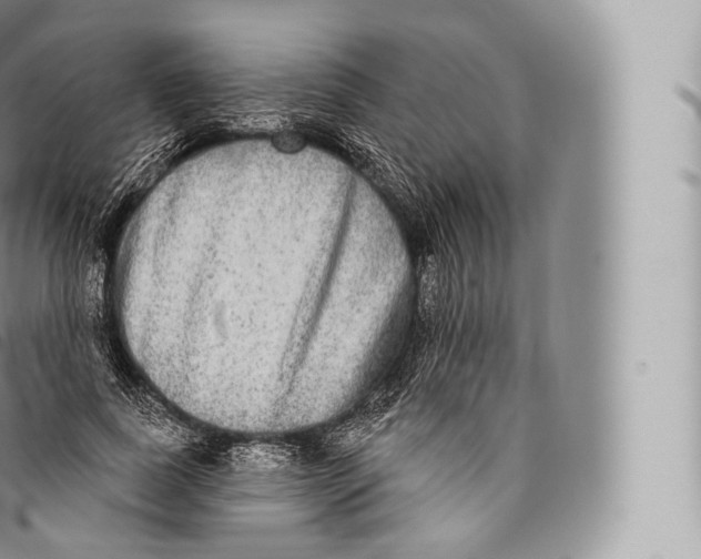 X0000096490739200802141745