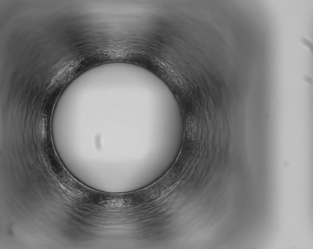 X0000096490740200802141745