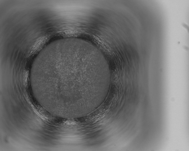 X0000096490742200802141745