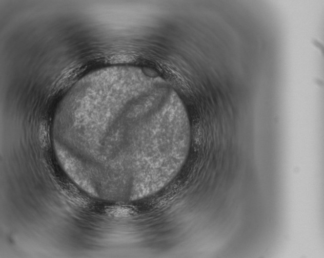 X0000096490743200802141745