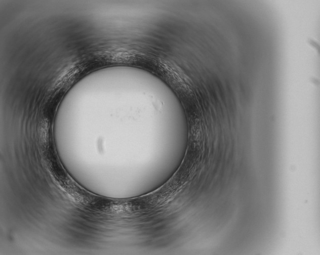 X0000096490744200802141745