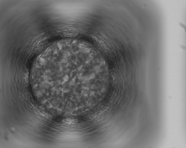 X0000096490745200802141745