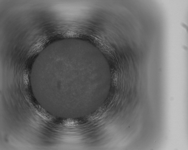 X0000096490746200802141745