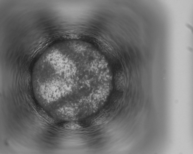 X0000096490747200802141745