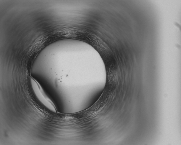 X0000096490748200802141745