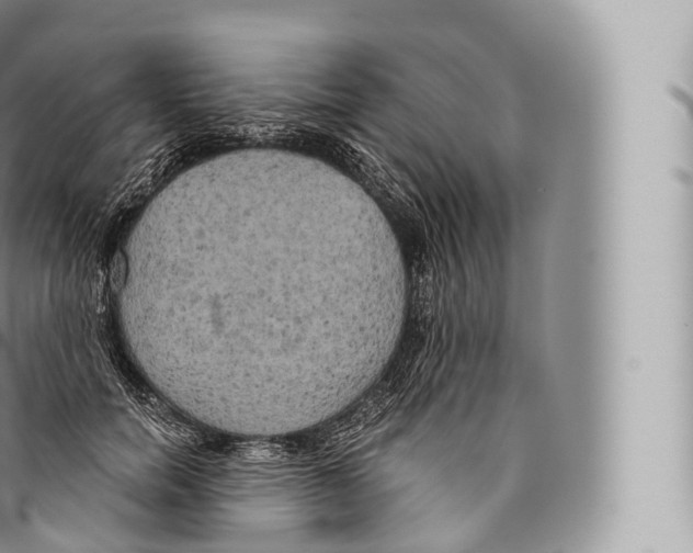 X0000096490750200802141745