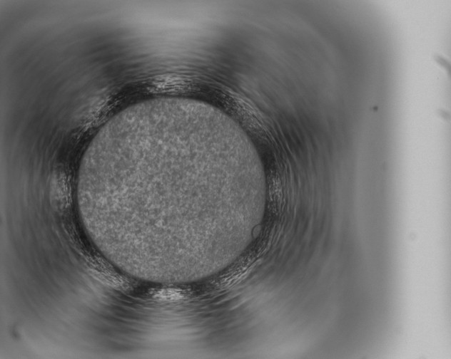 X0000096490751200802141745