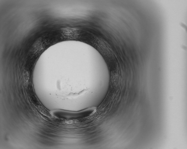 X0000096490752200802141745