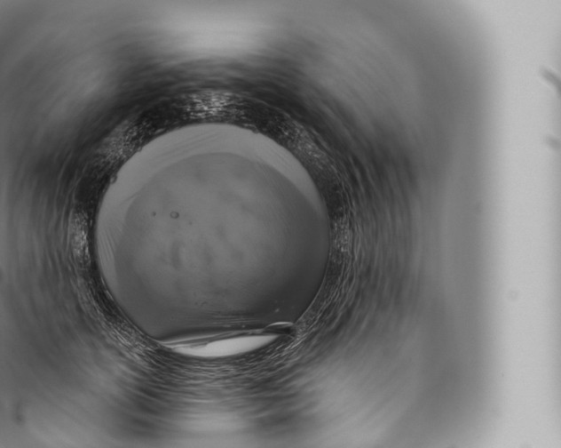 X0000096490754200802141745