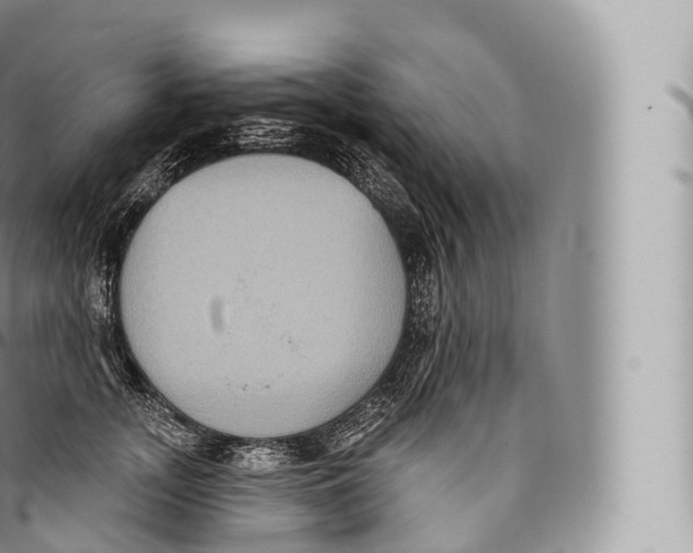 X0000096490755200802141745