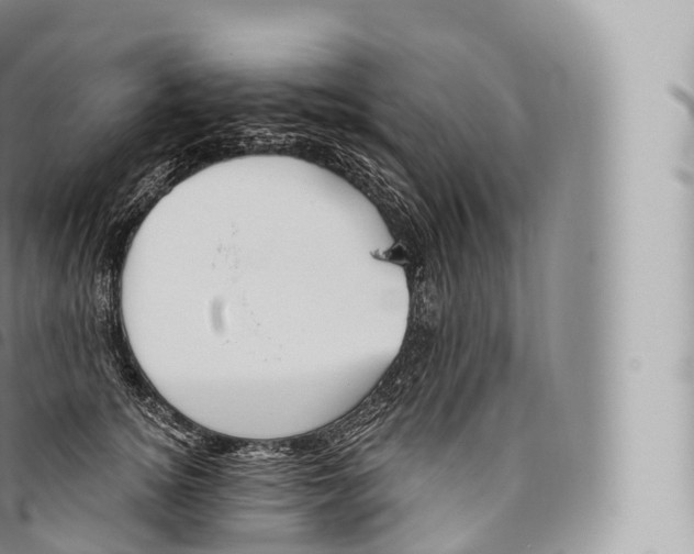 X0000096490756200802141745