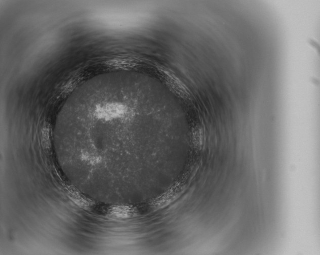 X0000096490757200802141745