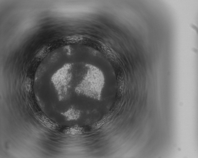 X0000096490758200802141745