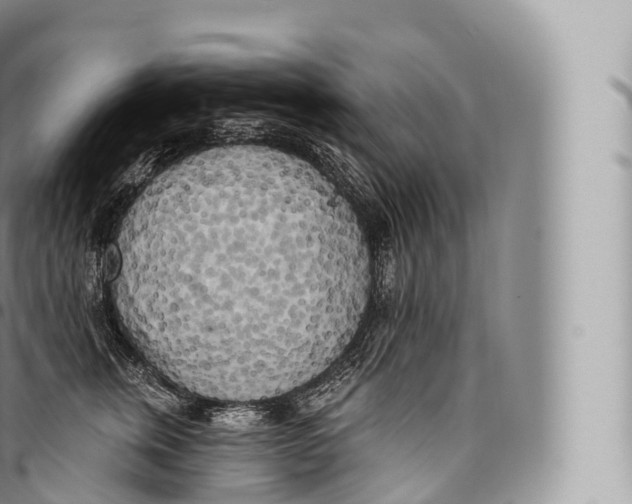 X0000096490759200802141745