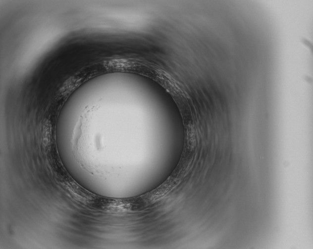 X0000096490760200802141745