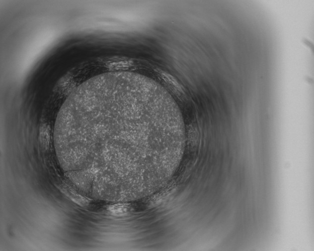 X0000096490761200802141745