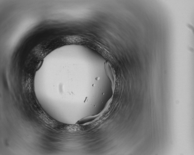 X0000096490762200802141745