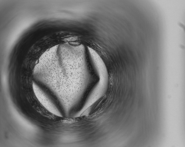 X0000096490763200802141745