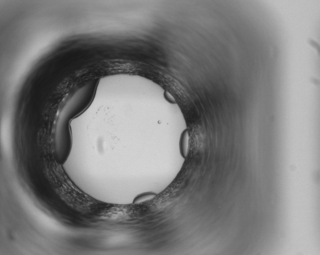 X0000096490764200802141745