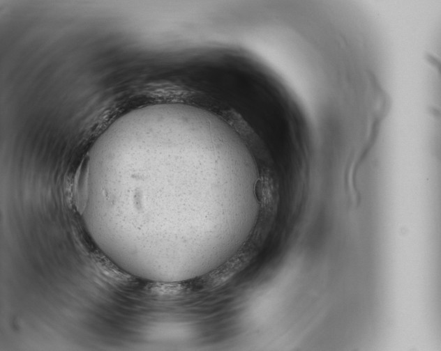 X0000096490767200802141745