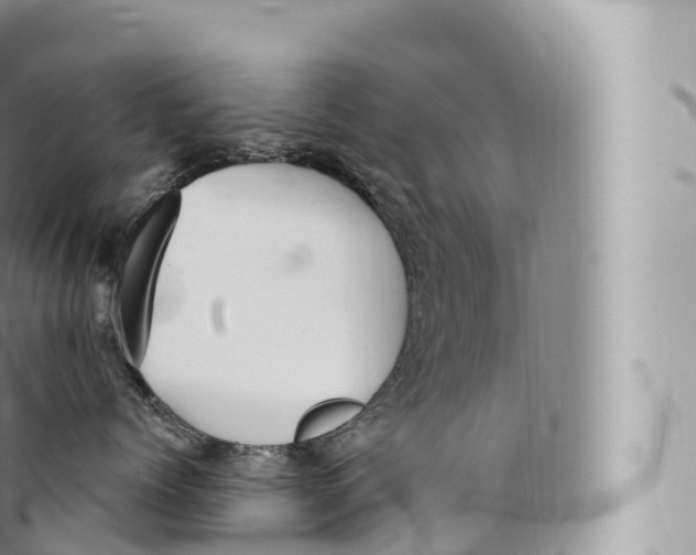 X0000096490768200802141745