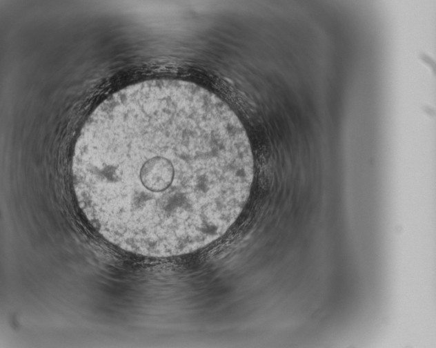 X0000096490769200802141744