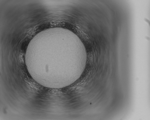 X0000096490770200802141744