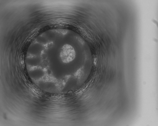 X0000096490771200802141744