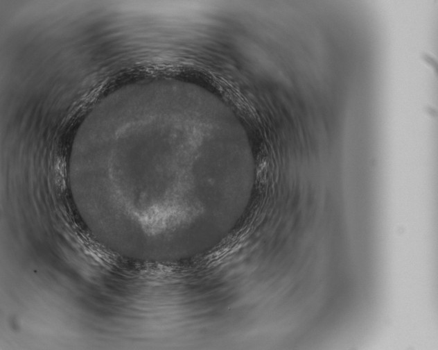 X0000096490772200802141744