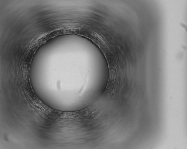 X0000096490773200802141744