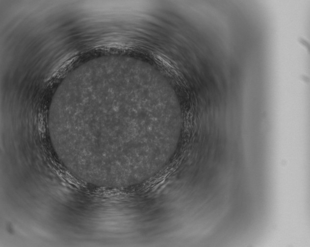 X0000096490774200802141744